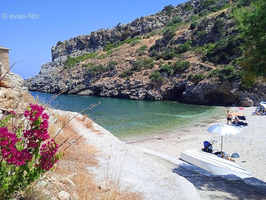Villa Παραθαλασσιο Σπιτι Στην Εξοχη à Tsakei Extérieur photo